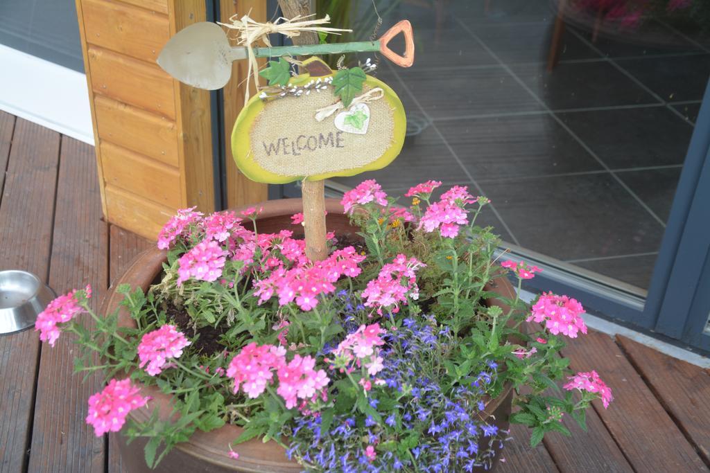 Les Condamines Bed & Breakfast Antoingt ภายนอก รูปภาพ